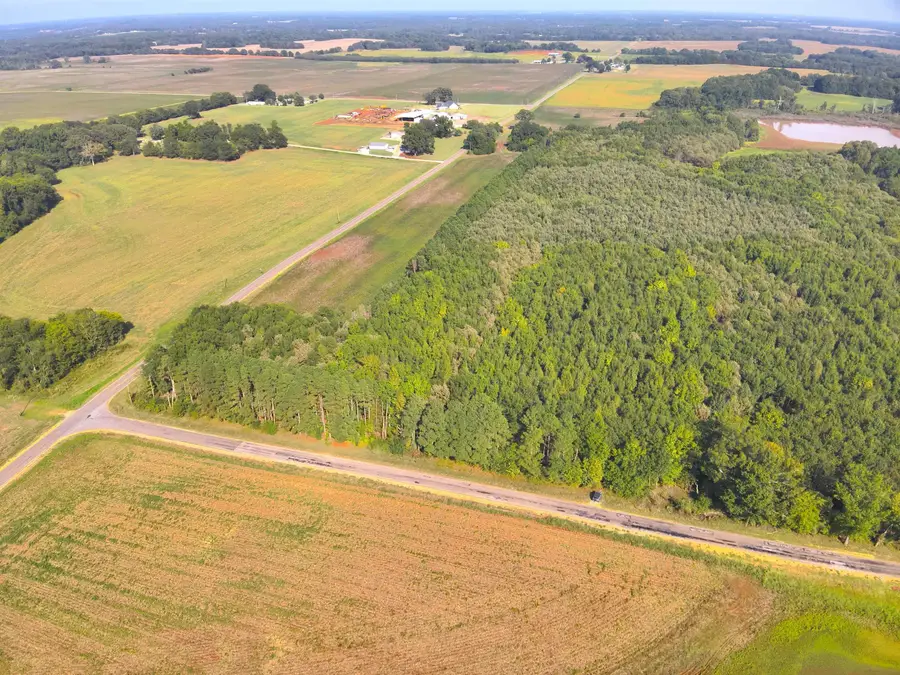 75 Acres 6th St, Leighton, AL 35646 - #2