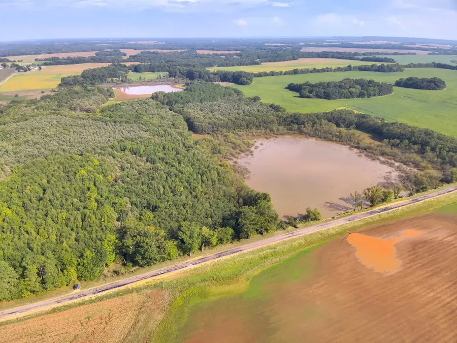 75 Acres 6th St, Leighton, AL 35646 - #3