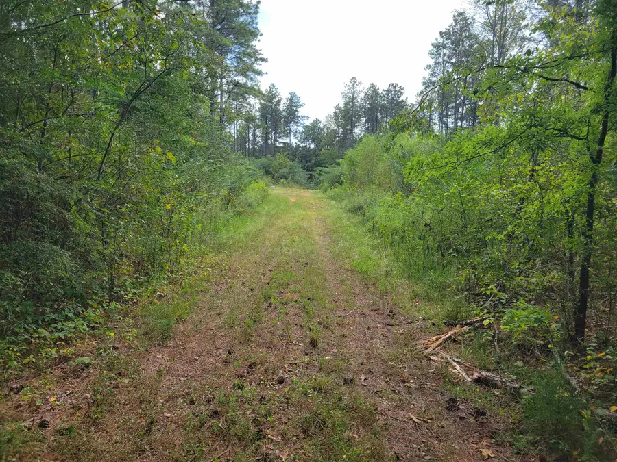 0 Co Rd 1079, Vinemont, AL 35179 - #2