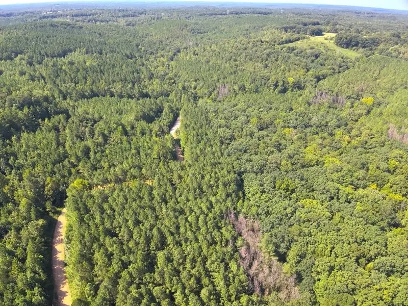 Lot 8 Cedar Ridge Rd, Russellville, AL 35653 - #2