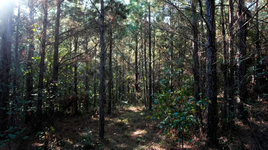 00 Ables Rd, Cherokee, AL 35616 - #2