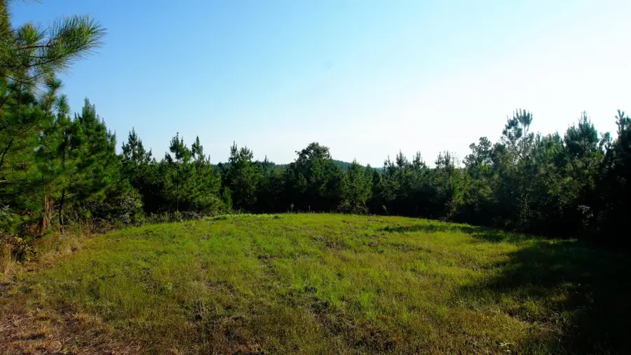 3 Ables Rd, Cherokee, AL 35616 - #3