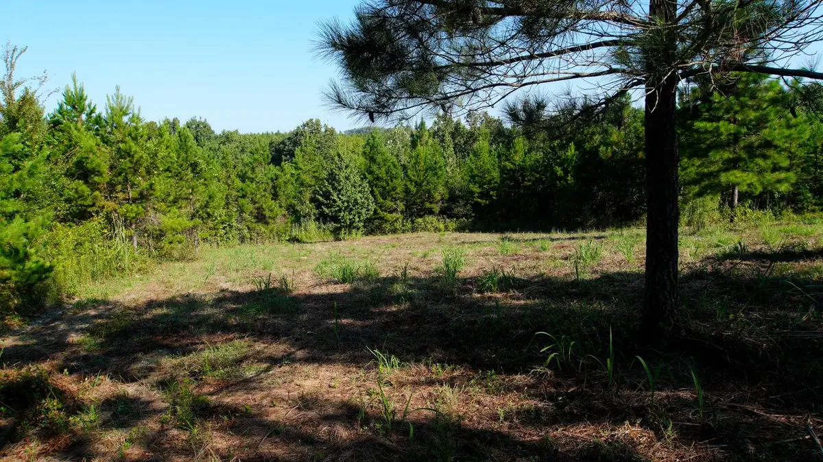 0 Ables Rd, Cherokee, AL 35616 - #1