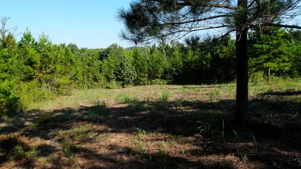 0 Ables Rd, Cherokee, AL 35616
