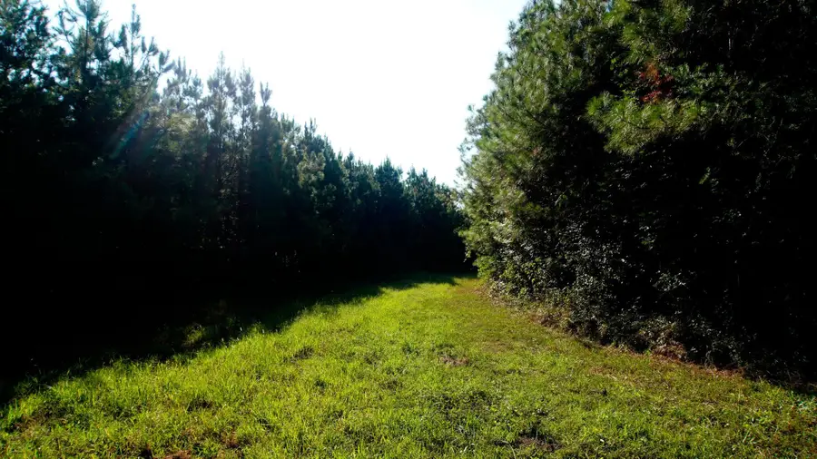 0 Ables Rd, Cherokee, AL 35616 - #2