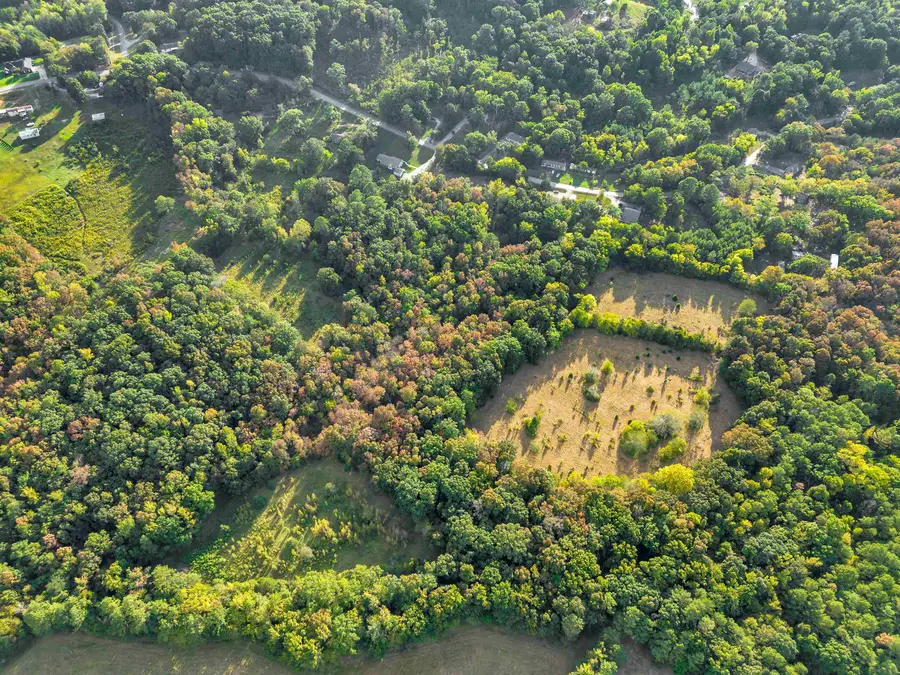 00 County Hwy 60, Russellville, AL 35653 - #2