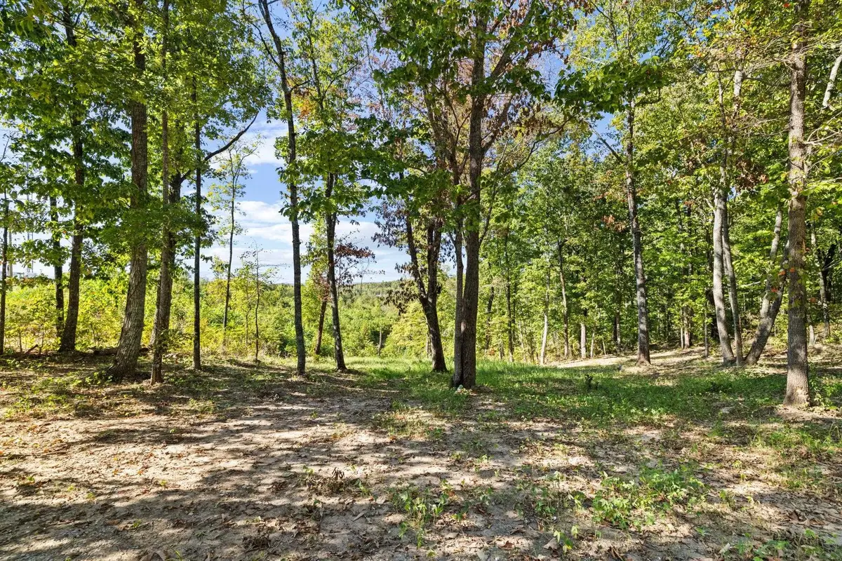 0 Co Rd 574, Hanceville, AL 35077 - #1