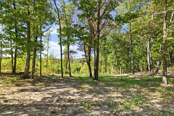 0 Co Rd 574, Hanceville, AL 35077