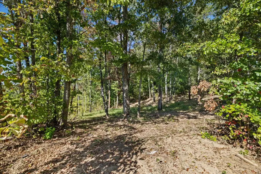 0 Co Rd 574, Hanceville, AL 35077 - #3