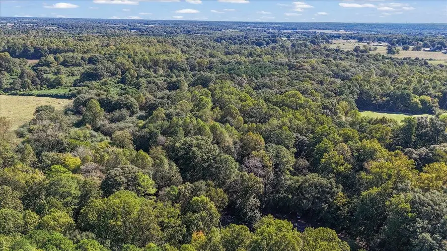0 Co Rd 1559, Cullman, AL 35058 - #3