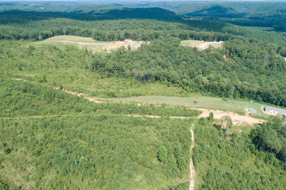 0 Co Rd 950, Crane Hill, AL 35053 - #1