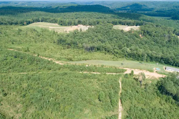 0 Co Rd 950, Crane Hill, AL 35053