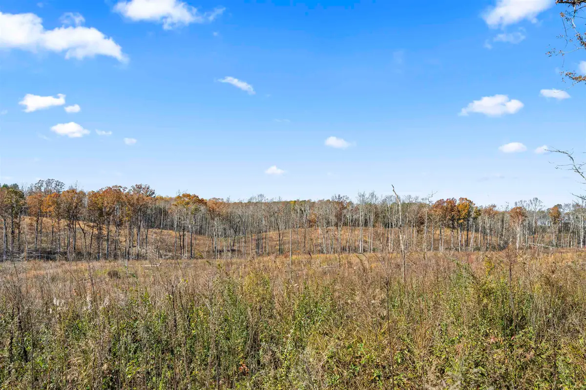 0 Co Rd 1067, Vinemont, AL 35179 - #1