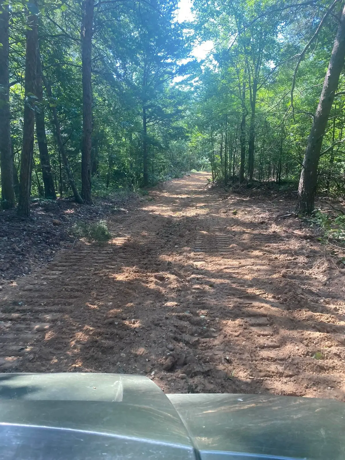 0 Co Rd 90, Waterloo, AL 35677 - #1