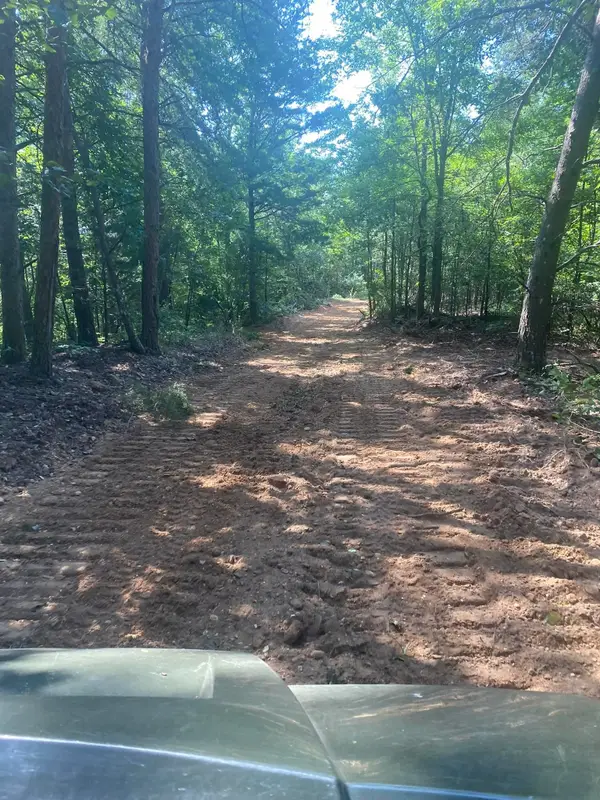 0 Co Rd 90, Waterloo, AL 35677