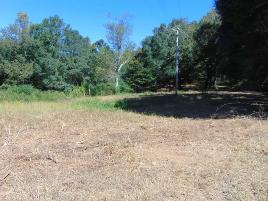 7761 Co Rd 200, Florence, AL 35633 - #2