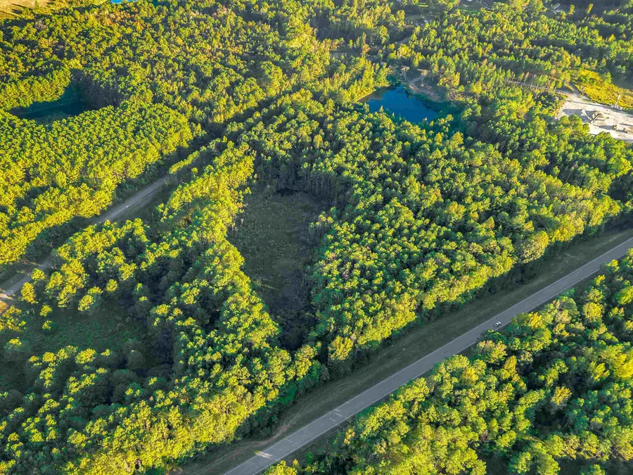 01 Hwy 13, Eldridge, AL 35554 - #2