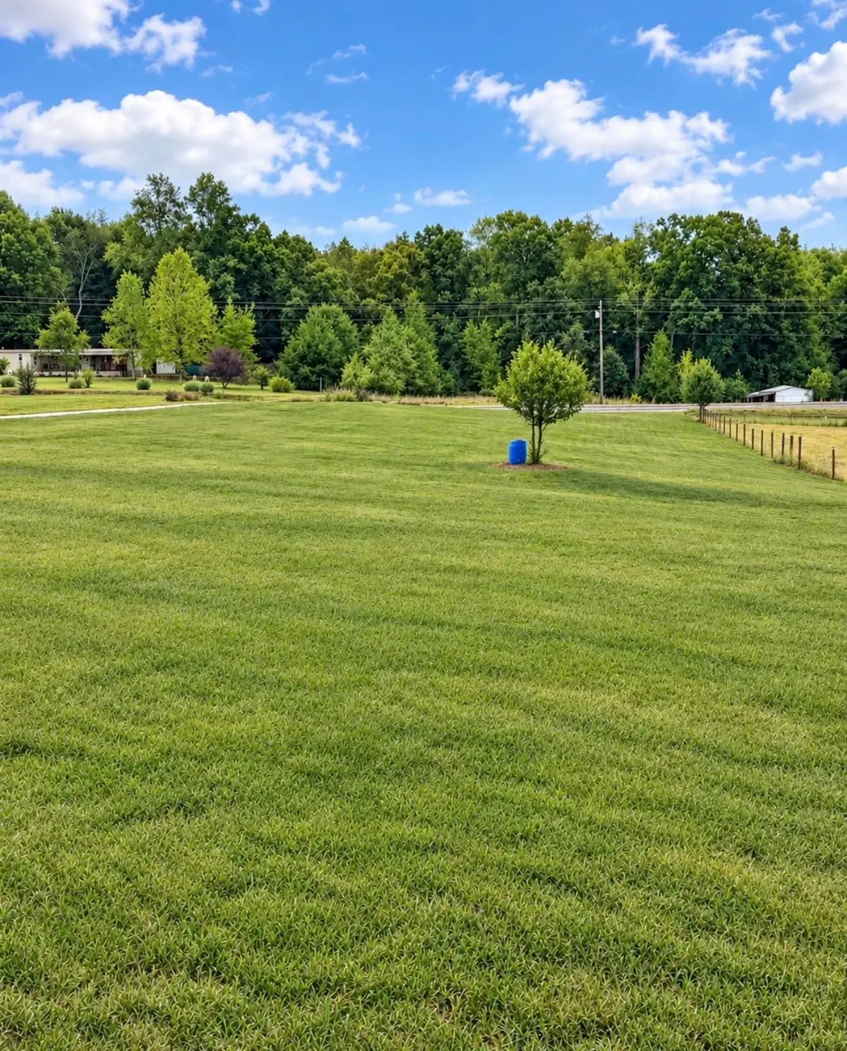 00 Hwy 64, Lexington, AL 35648 - #1