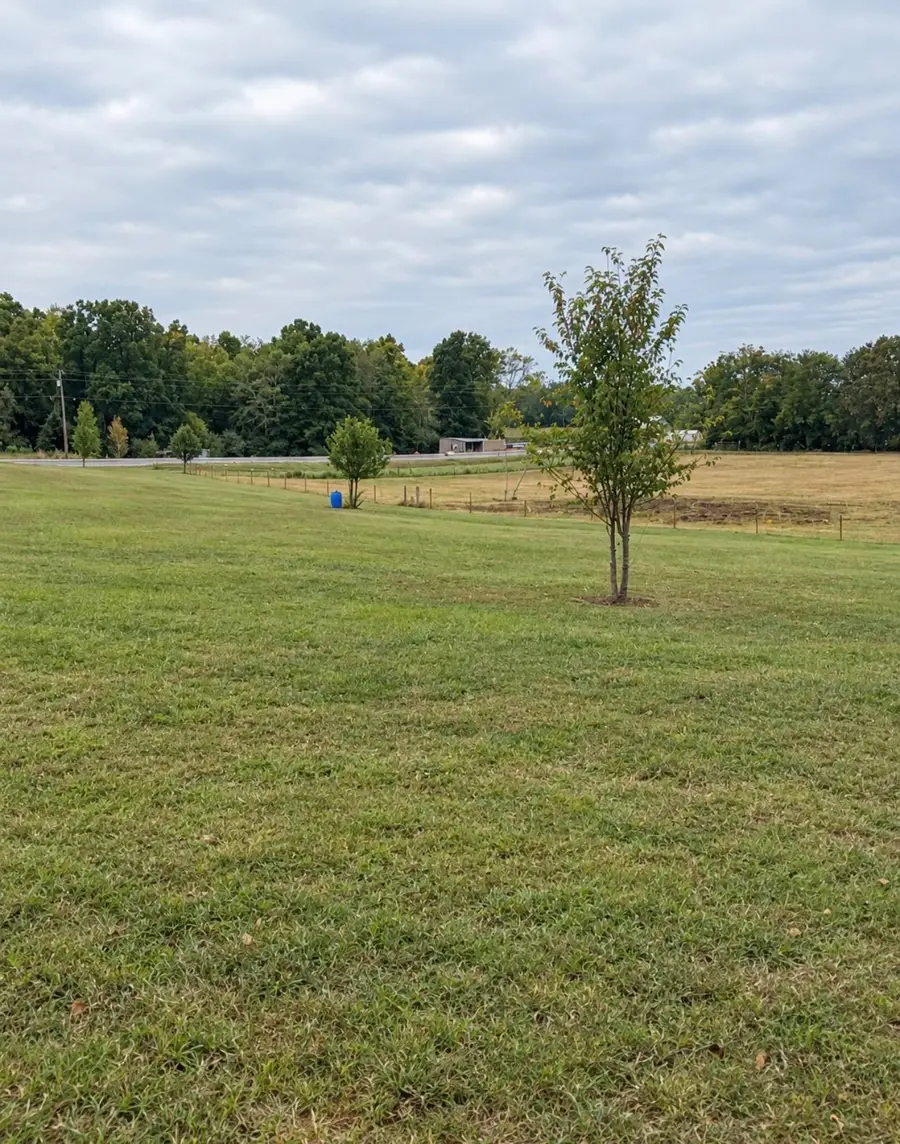00 Hwy 64, Lexington, AL 35648 - #3