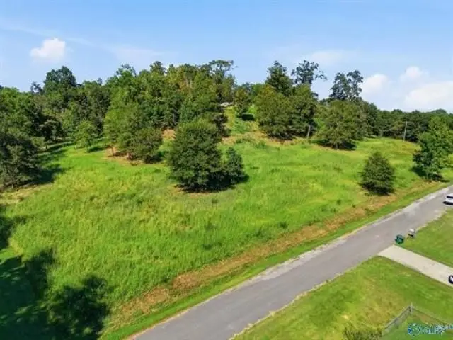 810 E Railroad Ave, Hanceville, AL 35077 - #1