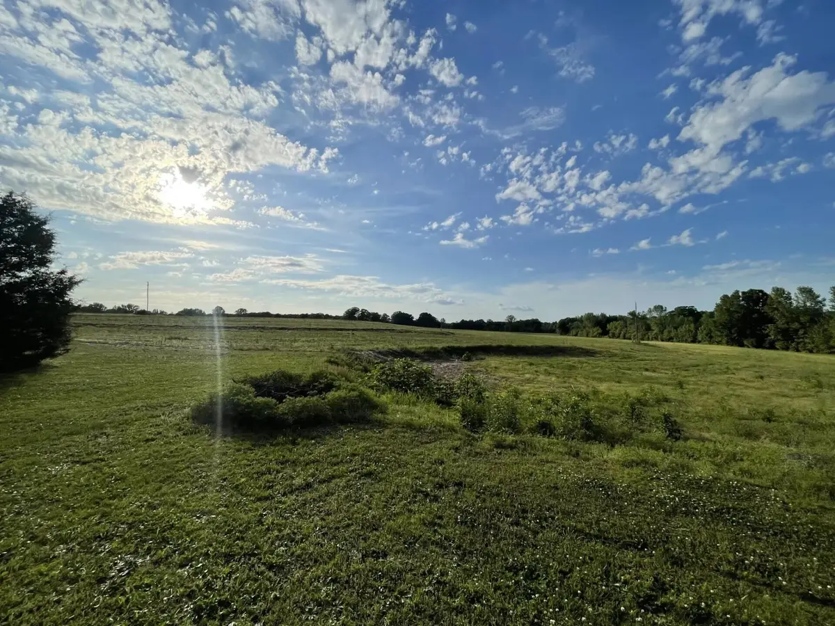 308 Co Rd 263, Cloverdale, AL 35617 - #1