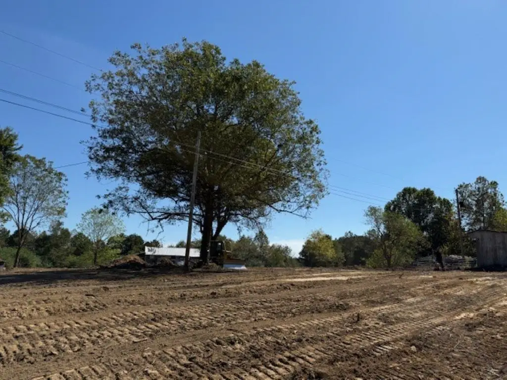 Lot 1 Co Rd 1497, Vinemont, AL 35179 - #1