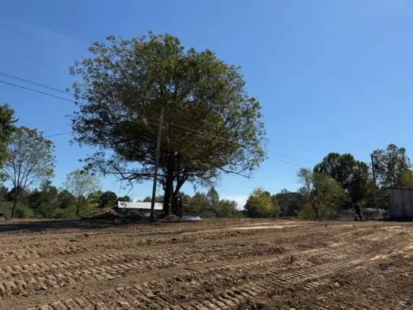 Lot 1 Co Rd 1497, Vinemont, AL 35179