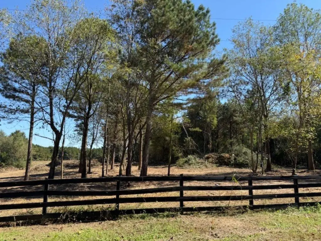 Lot 3 Co Rd 1497, Vinemont, AL 35179 - #1
