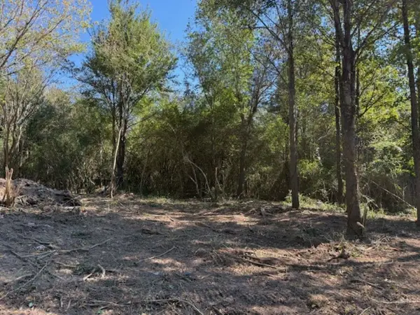 lOT 4 Co Rd 1497, Vinemont, AL 35179