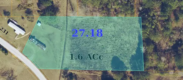 60324 Parham Gin Rd, Smithville, AL 38870