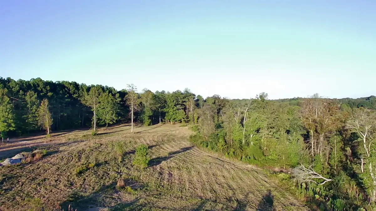 697 Co Rd 1073, Vinemont, AL 35179 - #1
