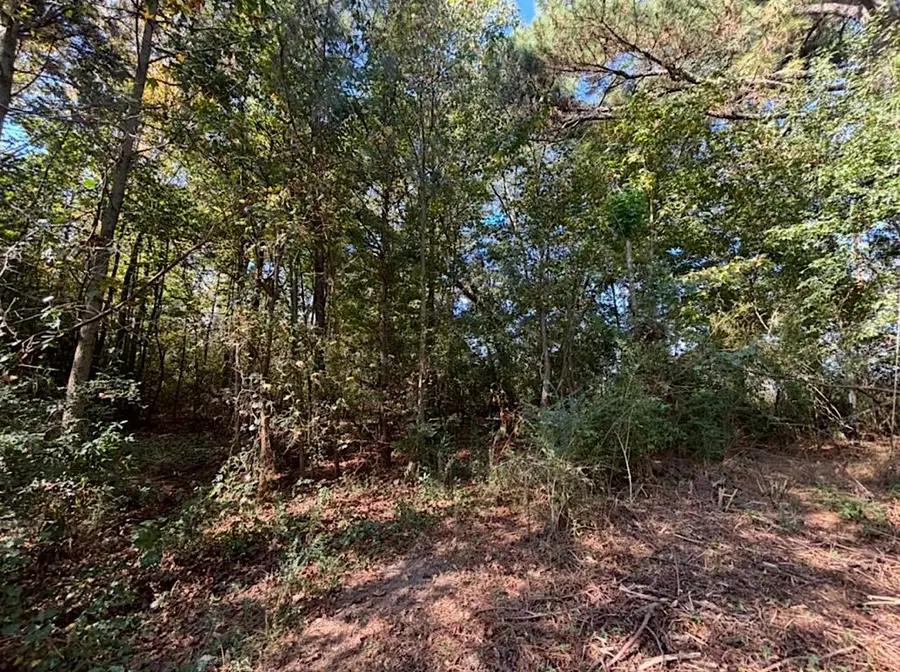 10628 Co Rd 747, Cullman, AL 35055 - #2