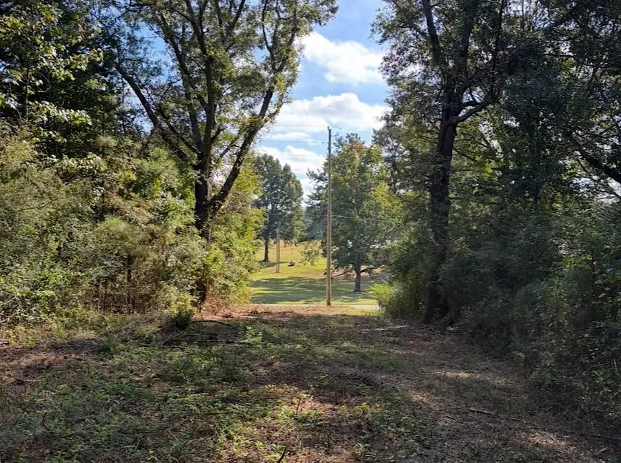 10628 Co Rd 747, Cullman, AL 35055 - #3