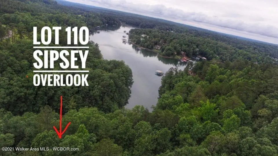 Lot 110 Sipsey Overlook Dr, Double Springs, AL 35553 - Image #1