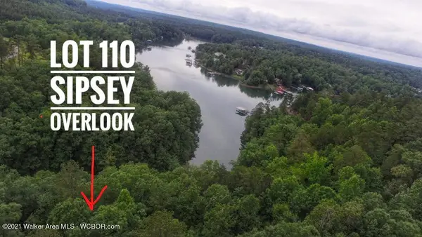 Lot 110 Sipsey Overlook Dr, Double Springs, AL 35553