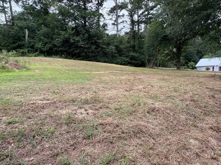 3rd Pl, Jasper, AL 35501 - Image #2