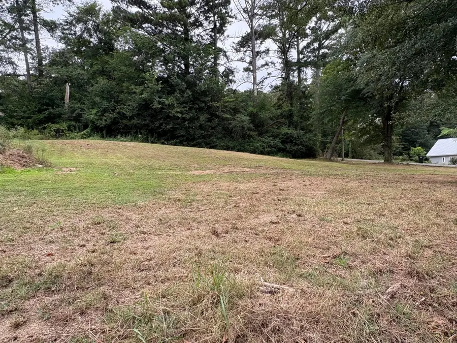 3rd Pl, Jasper, AL 35501 - Image #3