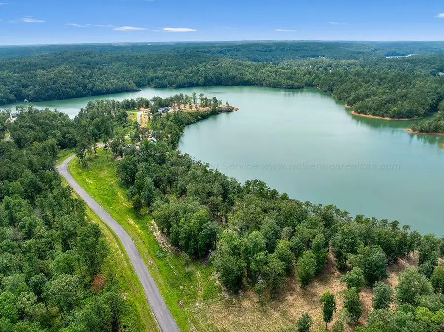 LOT 7 Slick Ford (cr 61), Houston, AL 35572 - Image #3