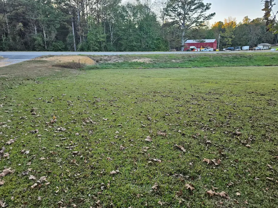 12566 Al-129, Brilliant, AL 35548 - Image #3