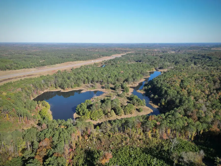 0 Homestead Rd, Eldridge, AL 35554 - Image #2