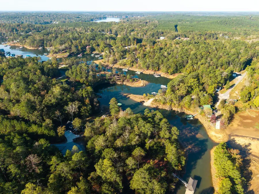 Lot 23 Bear Branch Cove, Arley, AL 35541 - Image #3