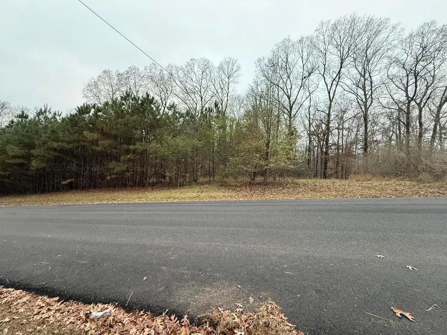 6th Court St, Vernon, AL 35592 - Image #2