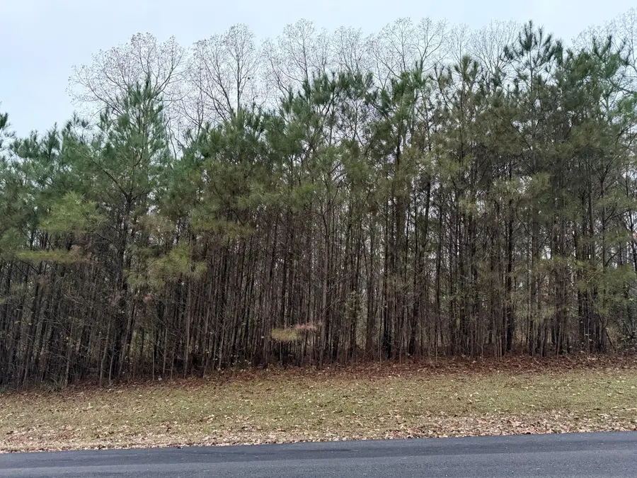 6th Court St, Vernon, AL 35592 - Image #3