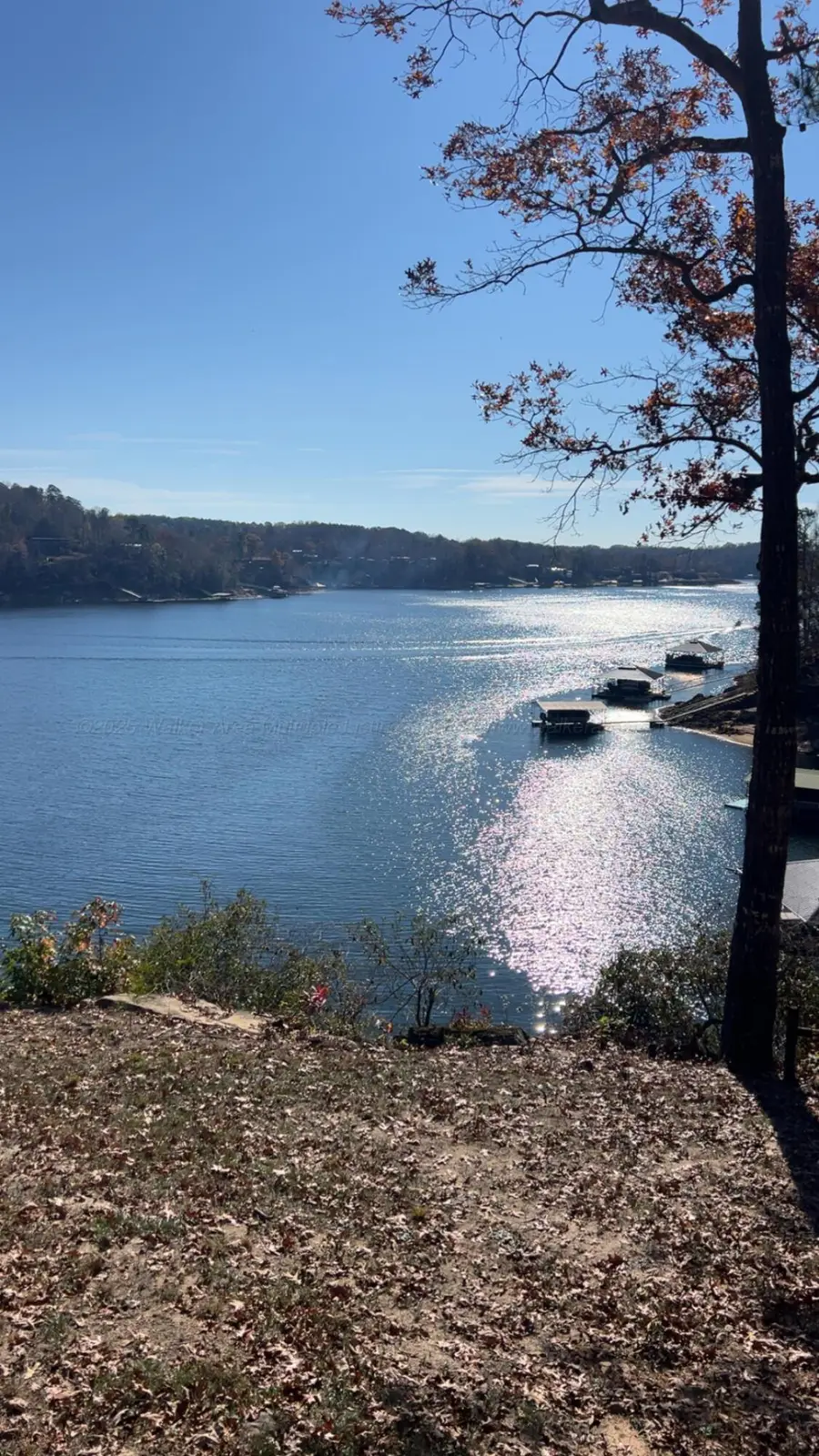 216 County Road 901, Crane Hill, AL 35053 - Image #2