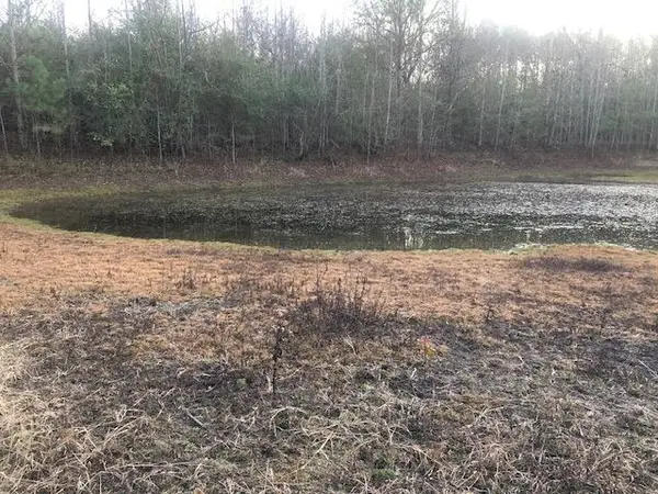 0 Tommy Mcgough Rd, Nauvoo, AL 35578