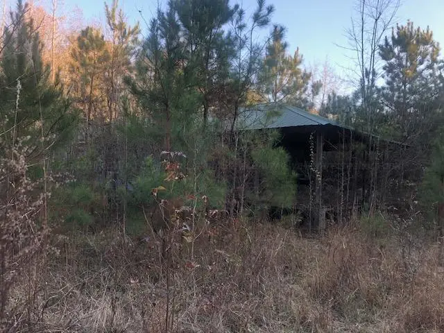 0 Tommy Mcgough Rd, Nauvoo, AL 35578 - Image #2