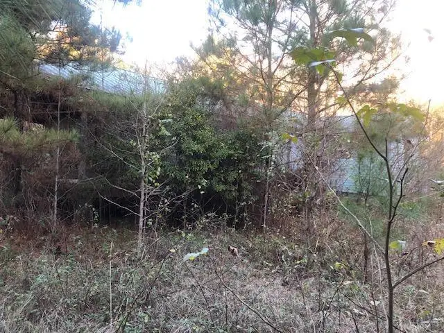 0 Tommy Mcgough Rd, Nauvoo, AL 35578 - Image #3