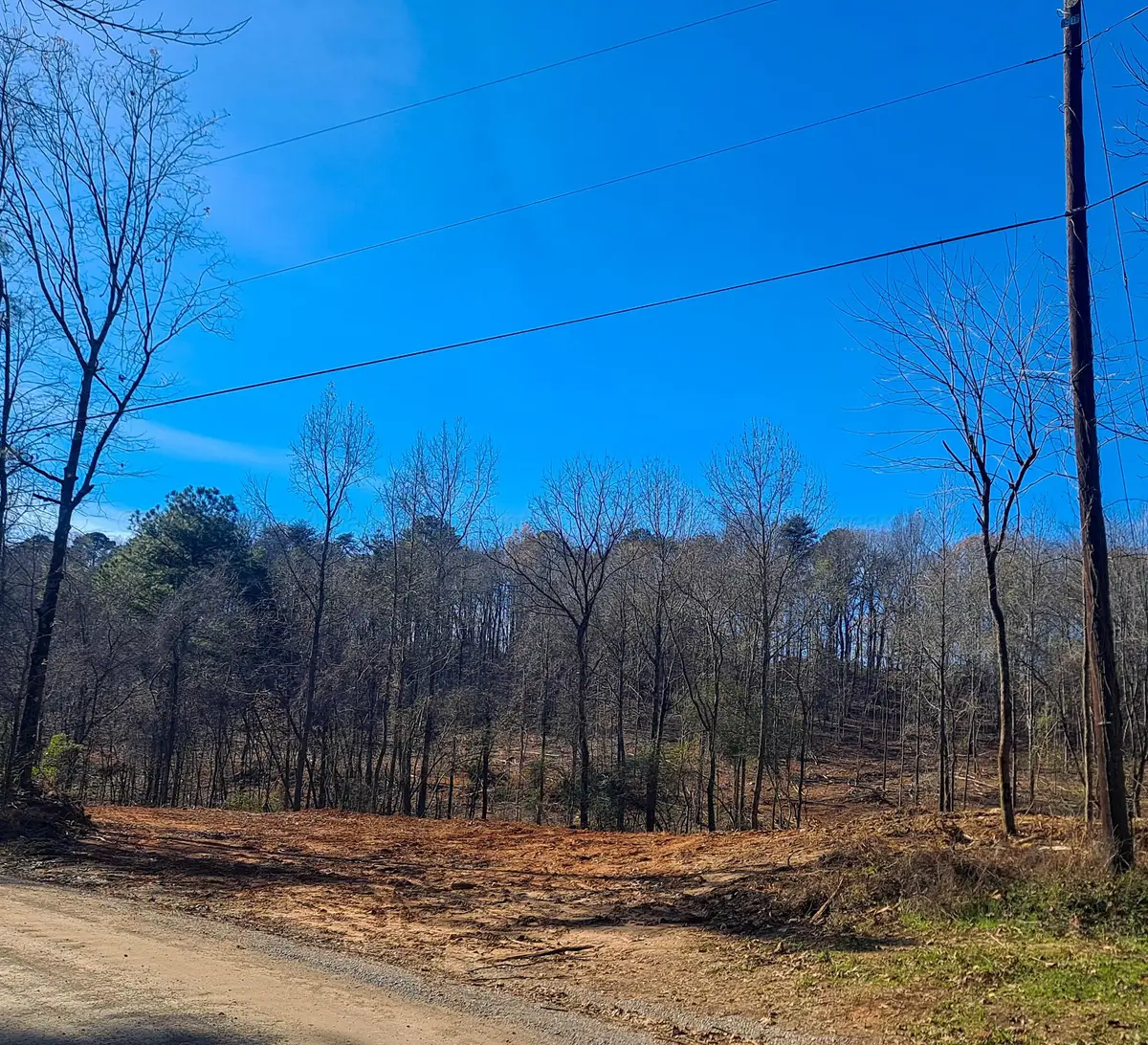 Paul Bolton Rd, Parrish, AL 35580 - Image #1