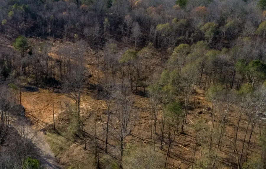 Paul Bolton Rd, Parrish, AL 35580 - Image #2