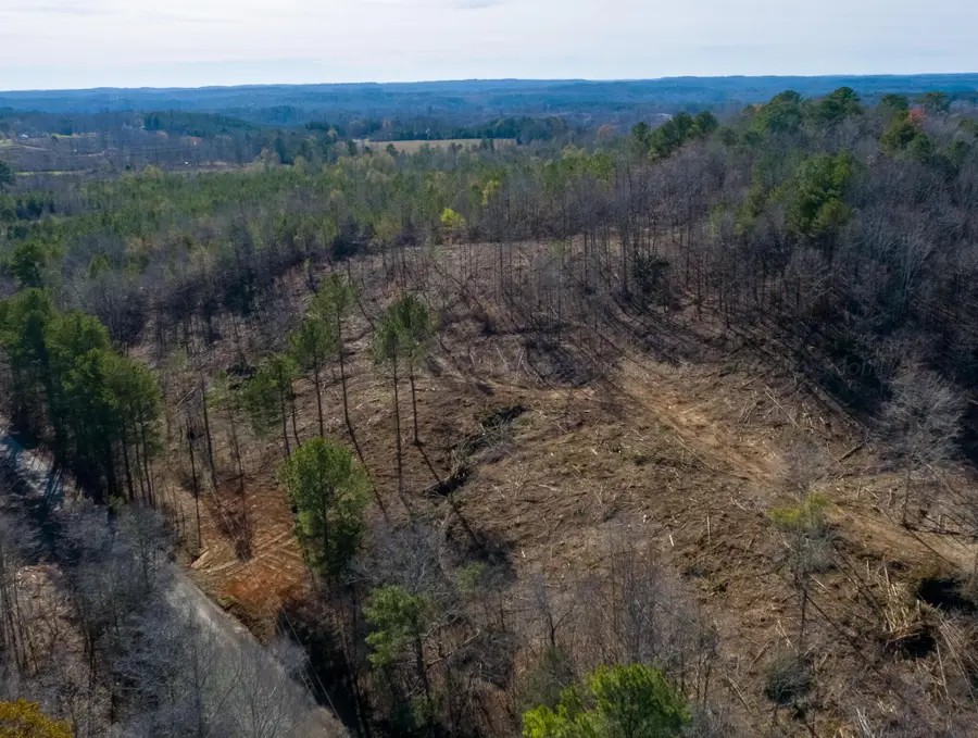 Paul Bolton Rd, Parrish, AL 35580 - Image #3